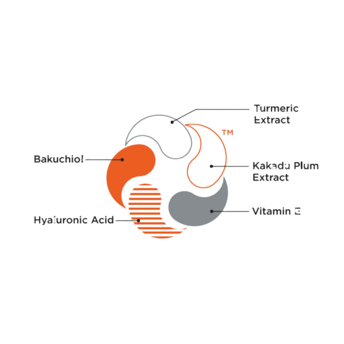 The Ayur Derm Bundle